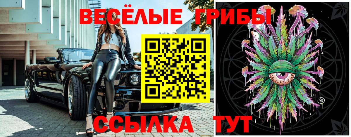 Галлюциногенные грибы GOLDEN TEACHER  Вход с VPN  Мценск 